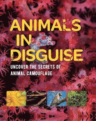 Michael Bright - Animals in Disguise, Häftad