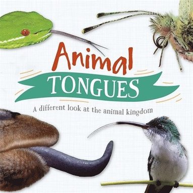 Tim Harris - Animal Tongues, Inbunden