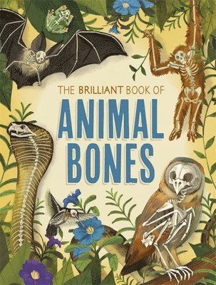 bokomslag Brilliant Book of Animal Bones