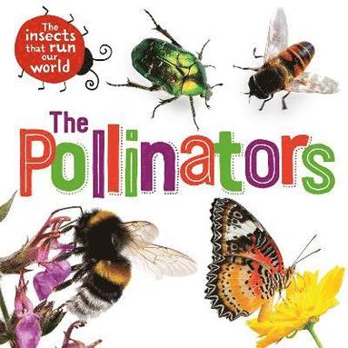 bokomslag Insects that Run Our World: The Pollinators