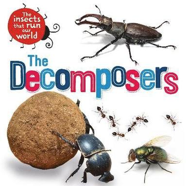 bokomslag Insects that Run Our World: The Decomposers