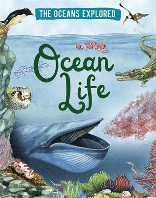 The Oceans Explored: Ocean Life 1