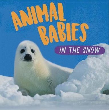 Sarah Ridley - Animal Babies: In the Snow, Häftad