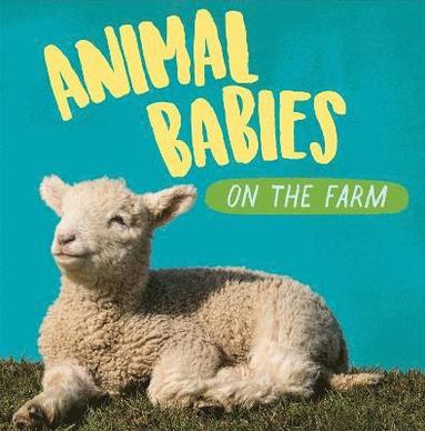 Sarah Ridley - Animal Babies: On the Farm, Häftad