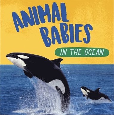 Sarah Ridley - Animal Babies: In the Ocean, Häftad