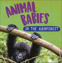 bokomslag Animal Babies: In the Rainforest