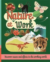 bokomslag Nature at Work