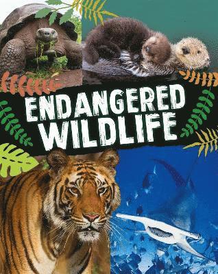 Endangered Wildlife 1