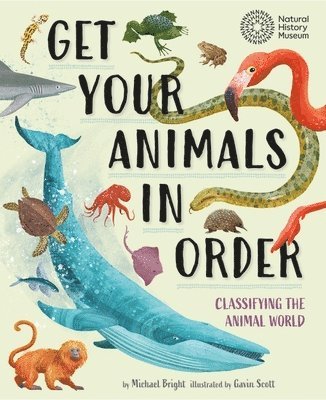 Michael Bright - Get Your Animals in Order: Classifying the Animal World, Häftad