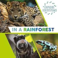bokomslag Explore Ecosystems: In a Rainforest
