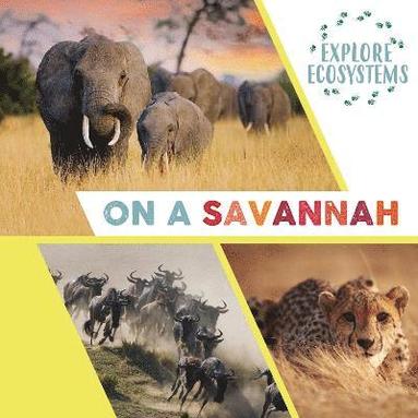 bokomslag Explore Ecosystems: On a Savannah