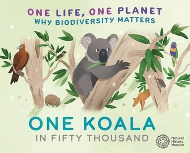 bokomslag One Life, One Planet: One Koala in Fifty Thousand