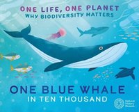 bokomslag One Life, One Planet: One Blue Whale in Ten Thousand