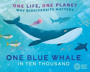 Sarah Ridley - One Life, One Planet: One Blue Whale in Ten Thousand, Häftad