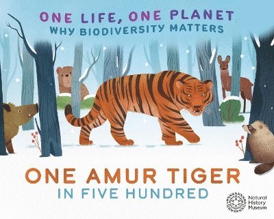 One Life, One Planet: One Amur Tiger in Five Hundred 1