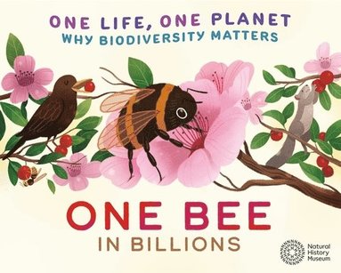 Sarah Ridley - One Life, One Planet: One Bee in Billions, Häftad