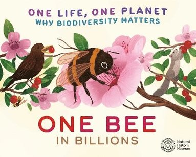 bokomslag One Life, One Planet: One Bee in Billions