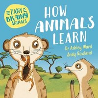 bokomslag Zany Brainy Animals: How Animals Learn