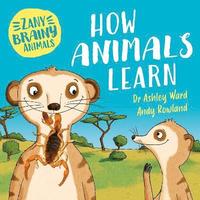bokomslag Zany Brainy Animals: How Animals Learn