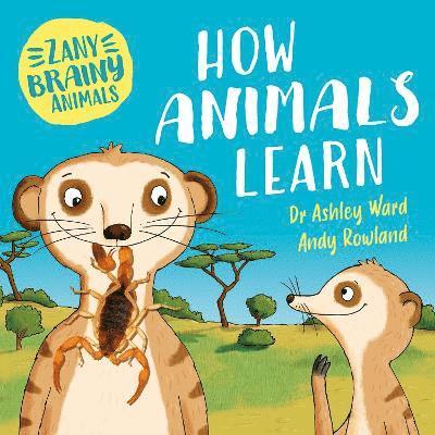 Zany Brainy Animals: How Animals Learn 1