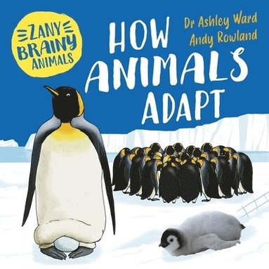 bokomslag Zany Brainy Animals How Animals Adapt