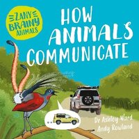 bokomslag Zany Brainy Animals How Animals Commun