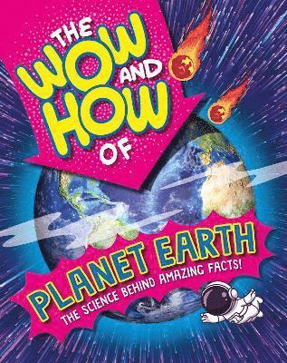 bokomslag The Wow and How of Planet Earth