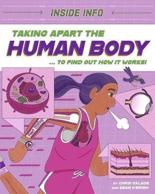 bokomslag Inside Info: Taking Apart the Human Body