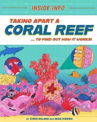 Inside Info: Taking Apart a Coral Reef 1