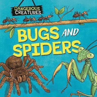 bokomslag Dangerous Creatures: Bugs and Spiders