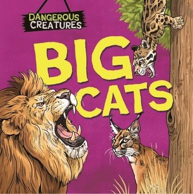 bokomslag Dangerous Creatures: Big Cats