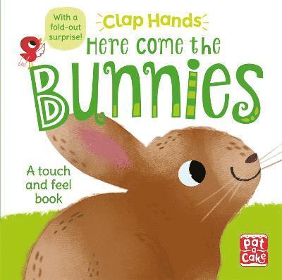 Pat-A-Cake - Pat-A-Cake: Clap Hands: Here Come the Bunnies, Kartonnage