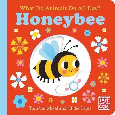 What Do Animals Do All Day?: Honeybee 1