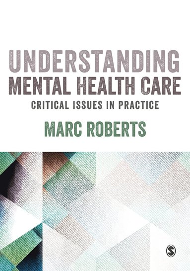 bokomslag Understanding Mental Health Care: Critical Issues in Practice