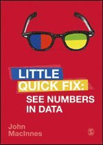 bokomslag See Numbers in Data: Little Quick Fix