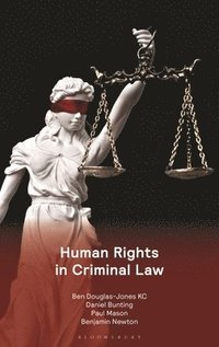 bokomslag Human Rights in Criminal Law