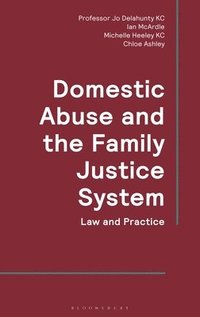 bokomslag Domestic Abuse and the Family Justice System