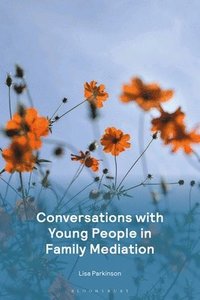 bokomslag Conversations with Young People in Family Mediation