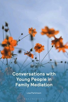 Conversations with Young People in Family Mediation 1