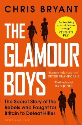 bokomslag Glamour Boys