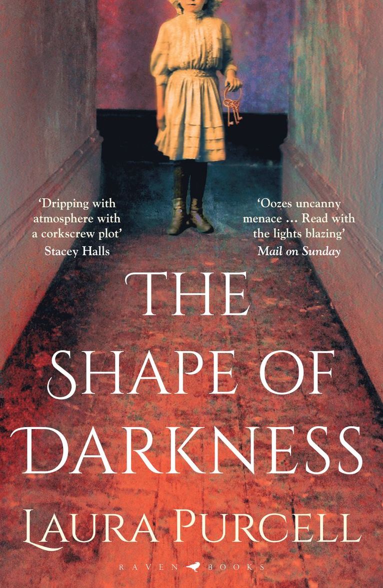 Laura Purcell - Shape of Darkness, Häftad