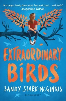 Extraordinary Birds 1