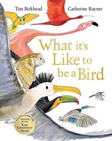 Tim Birkhead - What it's Like to be a Bird, Inbunden