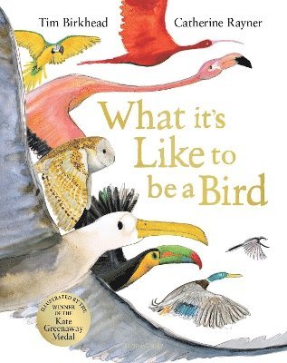What it's Like to be a Bird 1