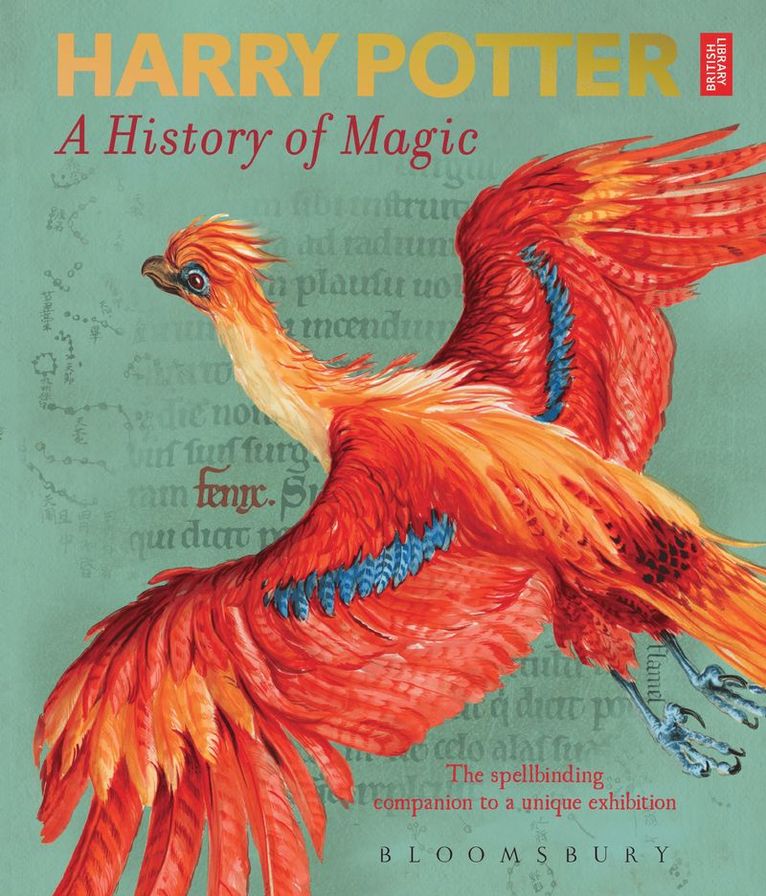 Harry Potter  A History of Magic 1