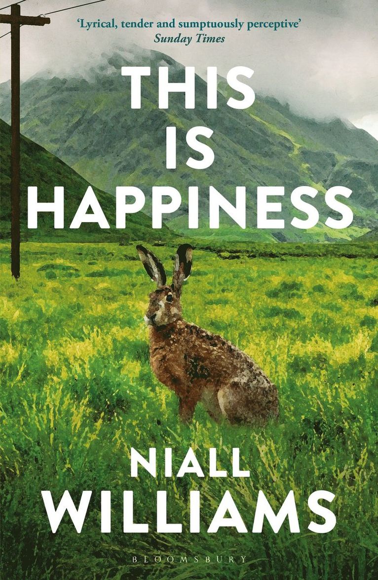 Niall Williams - This Is Happiness, Häftad