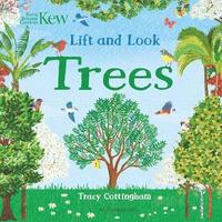 bokomslag Kew: Lift and Look Trees