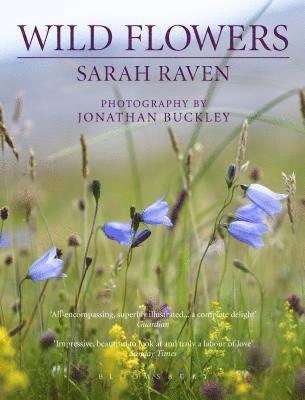 bokomslag Sarah Raven's Wild Flowers