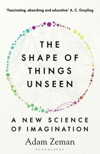 bokomslag Shape of Things Unseen