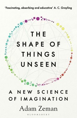 bokomslag Shape of Things Unseen